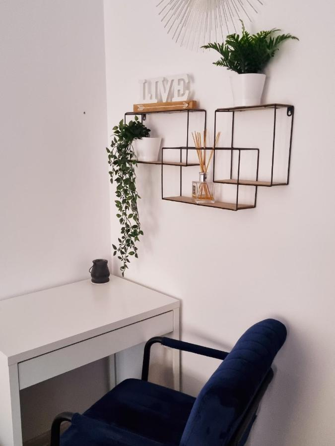 Belvedere Studio 布拉索夫 外观 照片